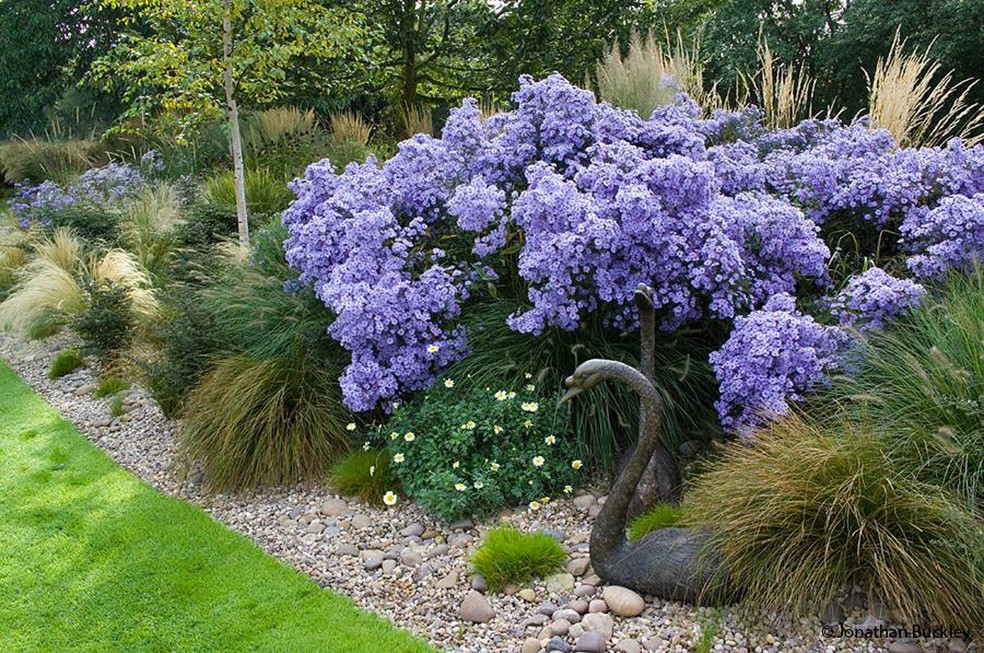 Jardim de John. — Foto: Divulgação