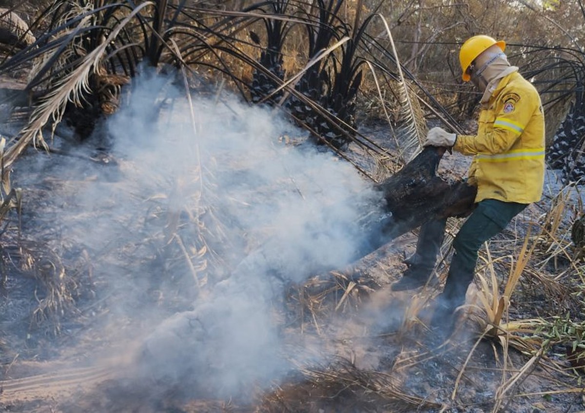 Atualização sobre o fogo no Pantanal – 23/11/2023 - IHP