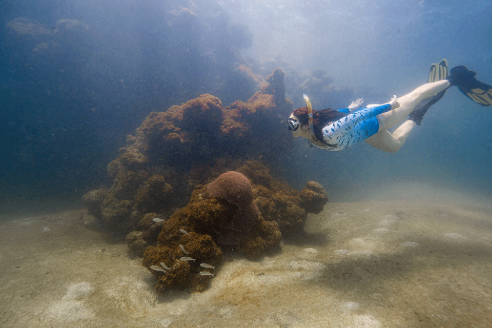Bióloga Janaína mergulhando. — Foto: Filipe Cadena/Fundação Grupo Boticário
