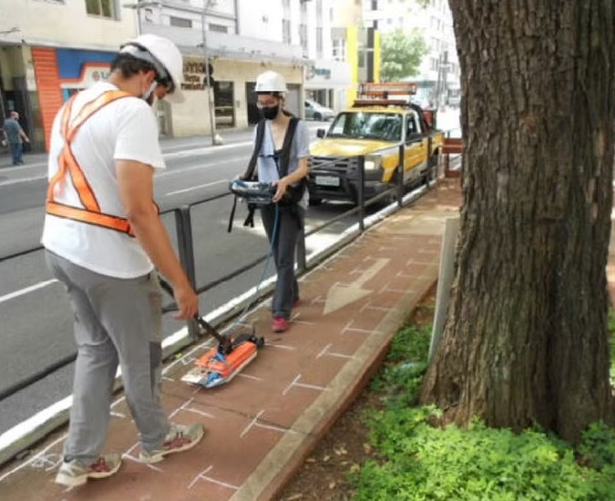 Empresa brasileira cria tecnologia para saber a saúde das árvores; saiba mais | Energia e Ciência