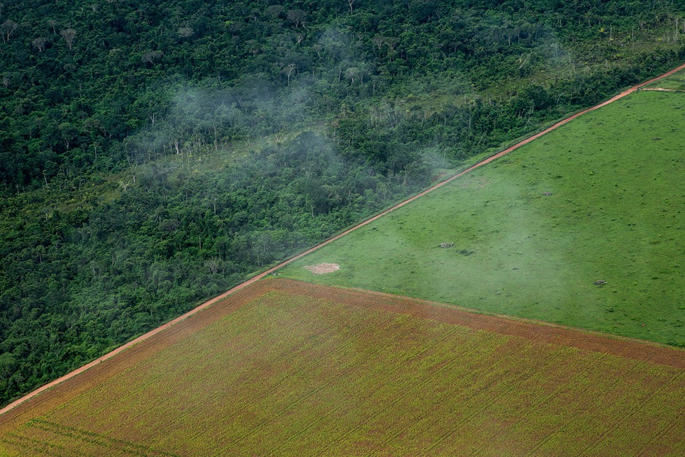 Desmatamento na Amazônia: especialistas defendem política de comando e controle para combater a perda de florestas.  — Foto: GettyImages