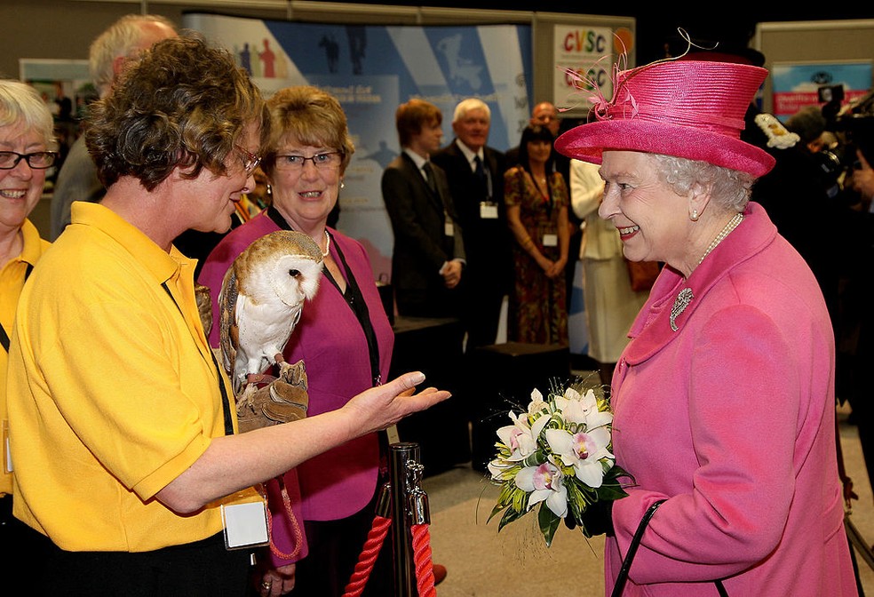 Rainha Elizabeth II e uma coruja em visita ao Venue Cymru Arena, em 2010, no País de Gales — Foto: Getty Images