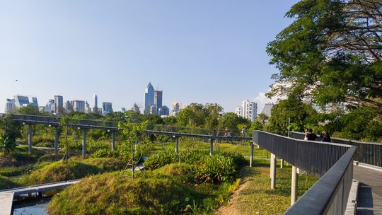 6 parques urbanos que provam a importância do equilíbrio entre cidade e natureza