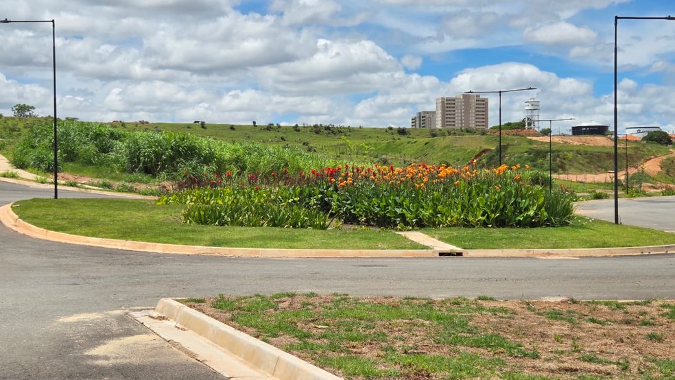 Jardins de chuva retém água e permitem que ela se infiltre gradualmente no solo — Foto: Divulgação