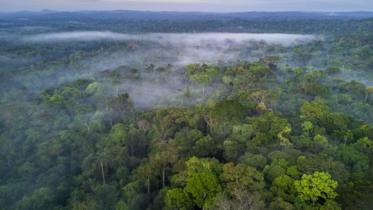 Amazônia: a última página do Gênesis