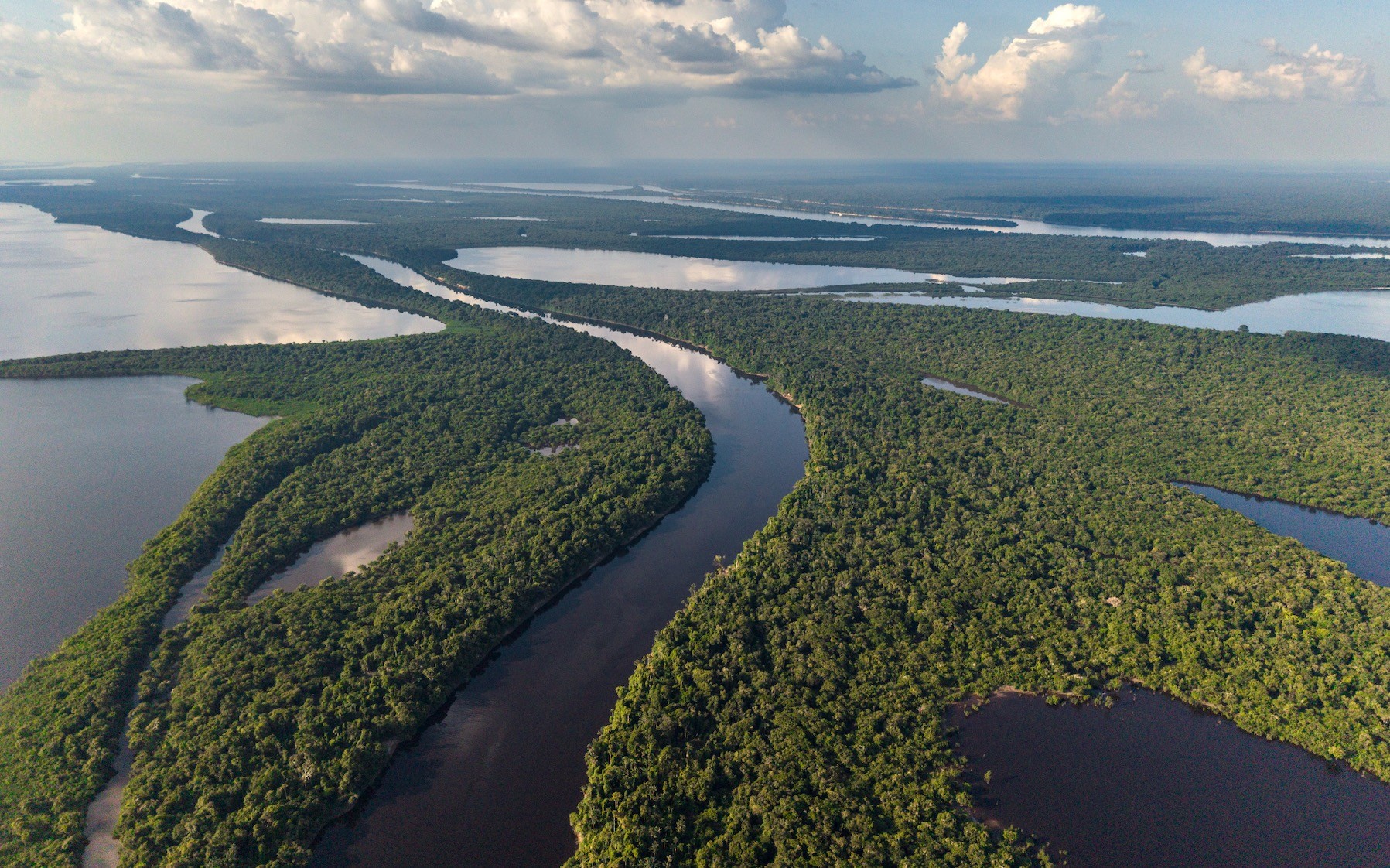 amazonia3.jpg