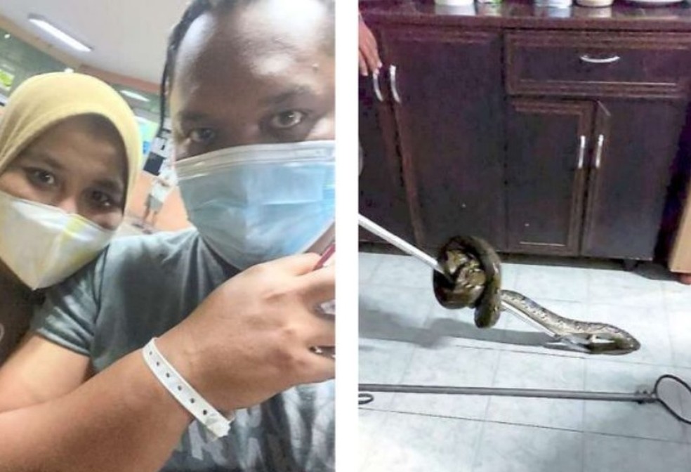 Sabri Tazali no hospital após ser picada pela cobra à direita. — Foto: Reprodução redes sociais