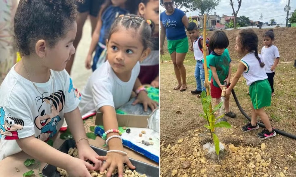 Crianças desenvolvem atividades sustentáveis em Manaus — Foto: Divulgação