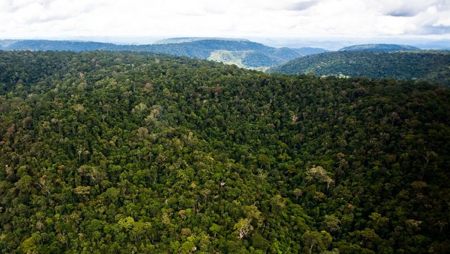 Marina Silva promete ampliar área de proteção ambiental na Amazônia