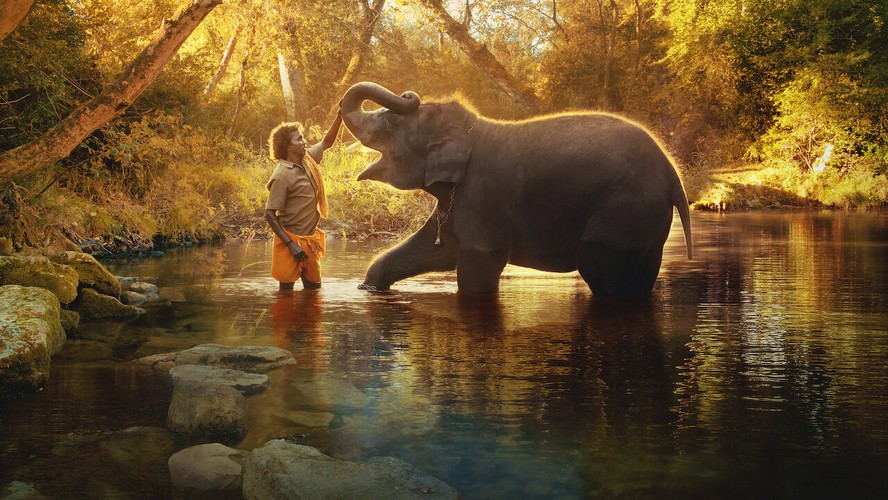 Água aos Elefantes filme - Veja onde assistir