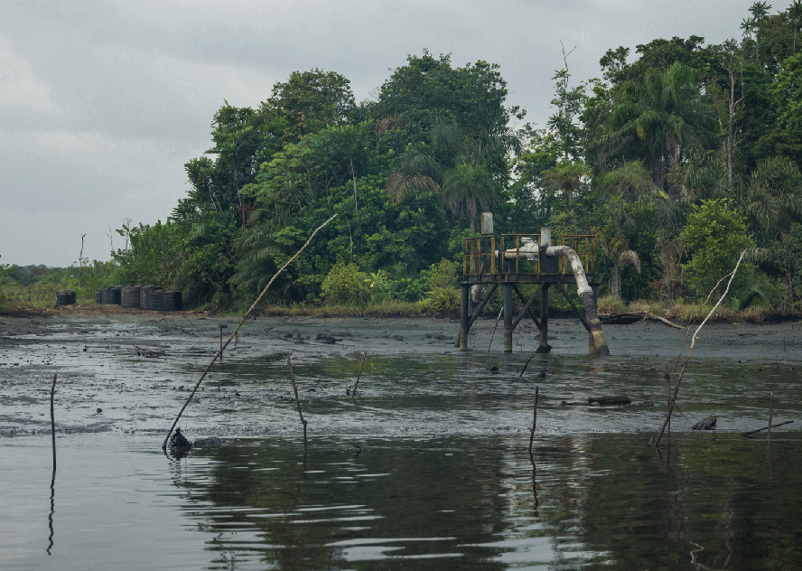 Estado de Bayelsa abrigava uma das maiores florestas de mangue do planeta.