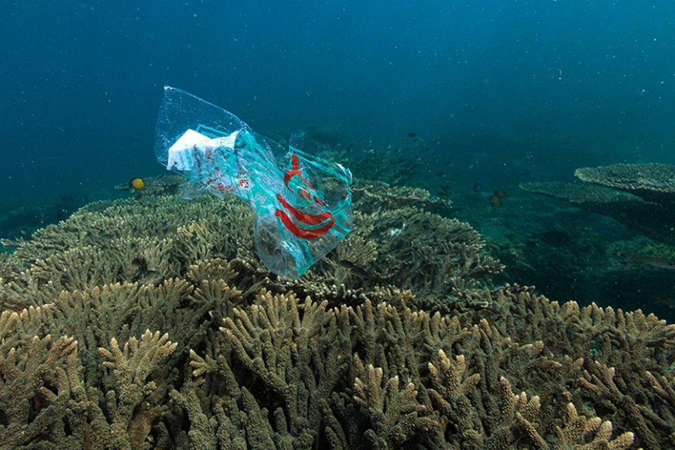 Um saco plástico flutua em torno de um dos recifes de coral de Omã.  — Foto: Tane Sinclair-Taylor