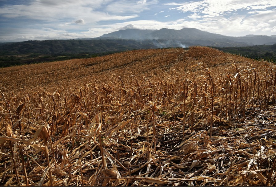 Capa fotográfica da fonte da Terra Adentro: El Niño, eleições e a urgência de comunicar a conservação da natureza
