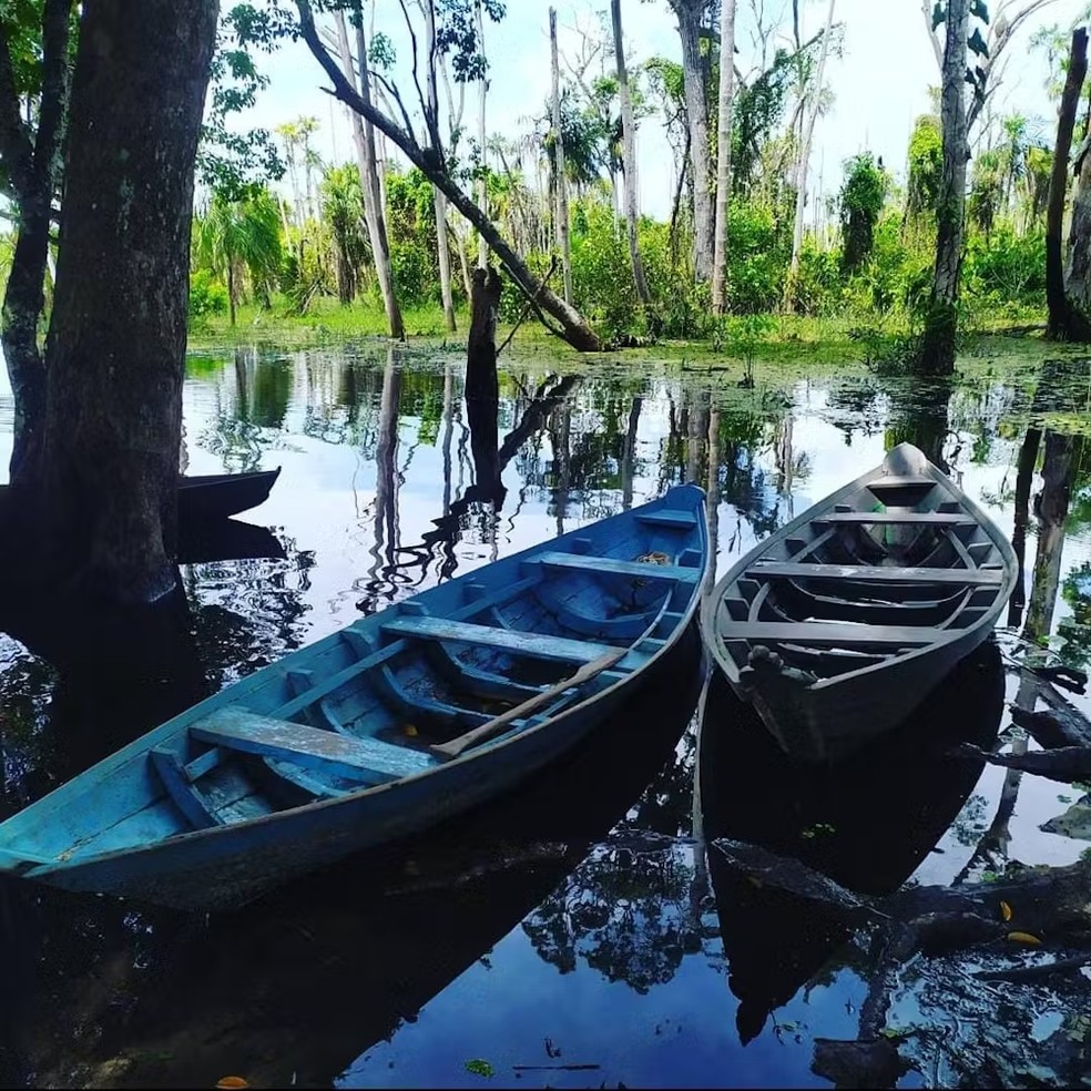 A bajara, pequeno barco usado pelas populações amazônicas para pescar e deslocar-se, foi o meio de transporte utilizado pelos pesquisadores para percorrer os 260km entre as comunidades da Reserva Extrativista Tapajós-Arapiuns — Foto: Imagem disponibilizada pelos autores