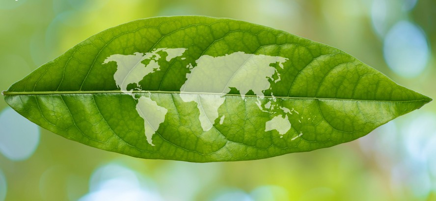 Sustentabilidade representada como uma folha com mapa-múndi.