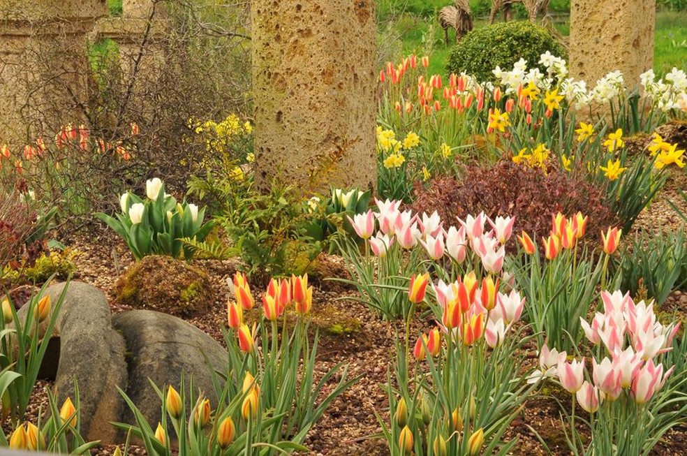 Jardim de John. — Foto: Divulgação