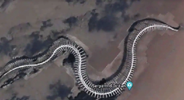 Google Maps: esqueleto gigante de cobra é achado e gera polêmica, Bichos