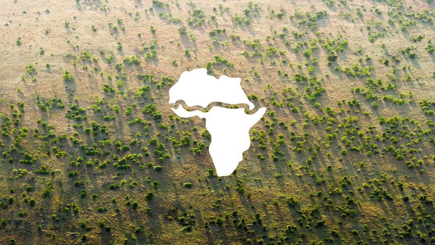 Com Grande Muralha Verde, África quer conter avanço do Saara e combater o aquecimento global
