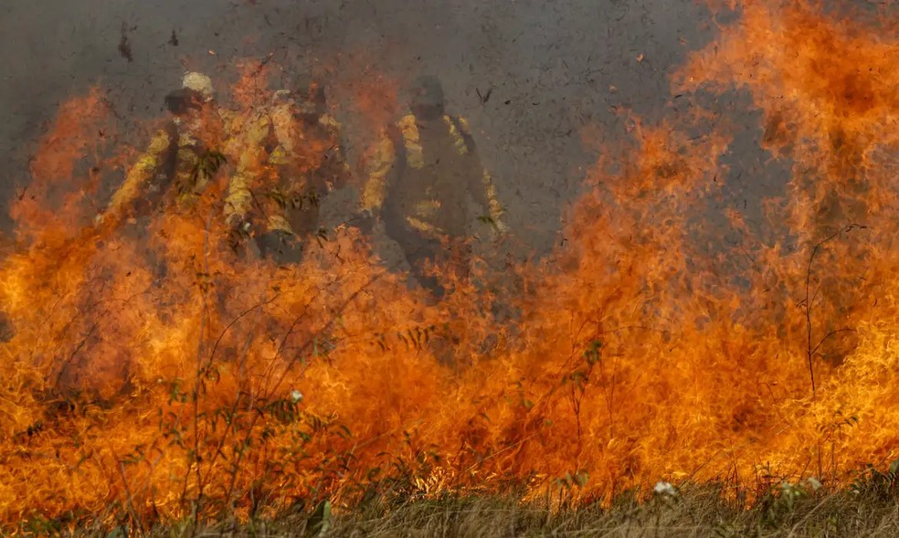 Incêndios no Pantanal. — Foto: © Joédson Alves/Agência Brasil