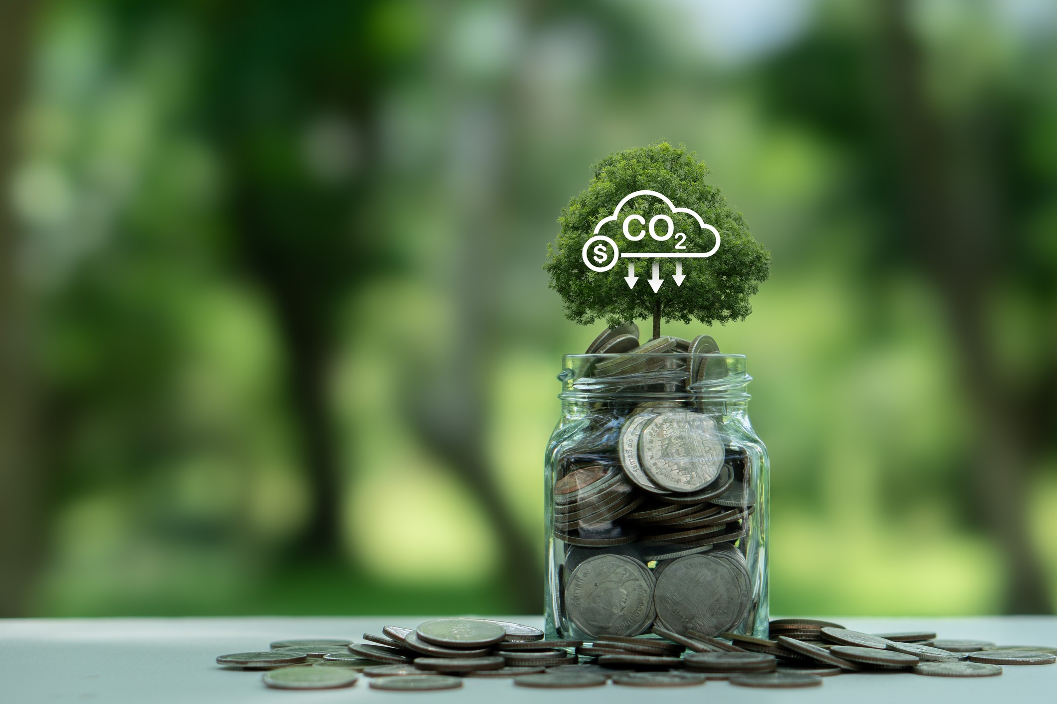 Mercado de carbono como motor da inovação e competitividade
